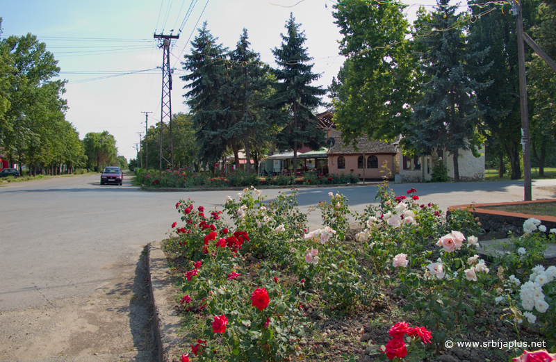 Aleksandrovo - centar sela