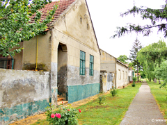 Radojevo - banatski sokak sa tradicionalnom arhitekturom