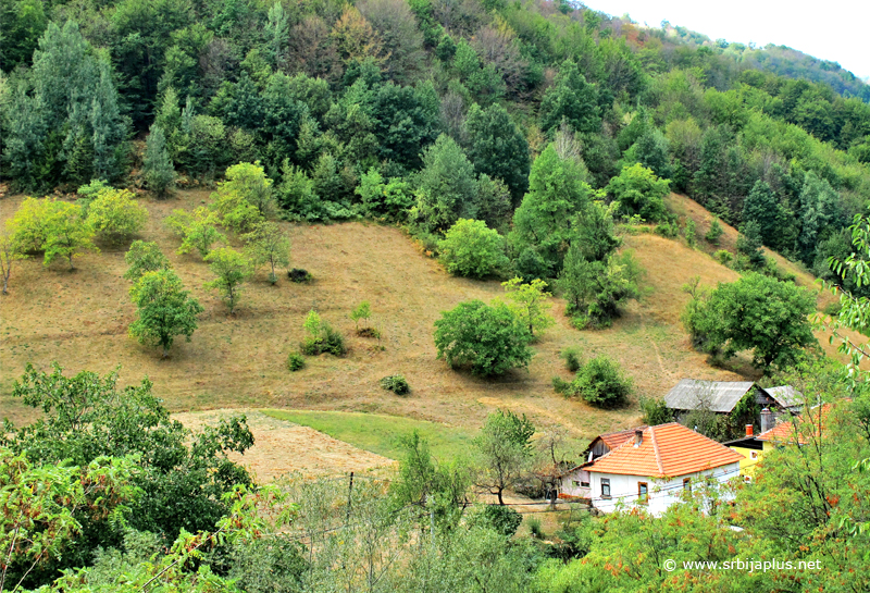 Crni Vrh, seosko domaćinstvo