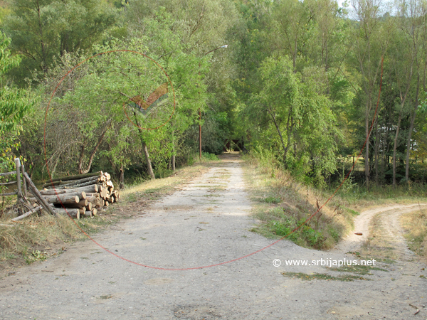 Gabrovnica, Knjaževac