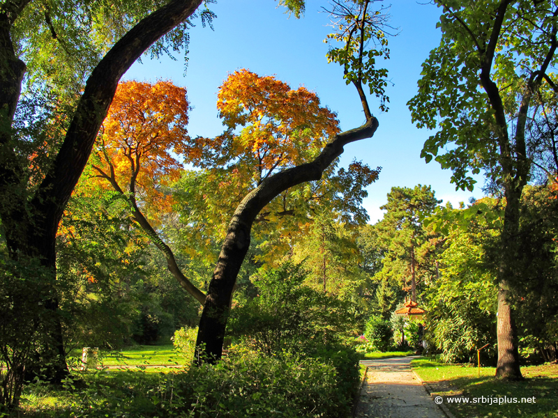 Park u Botaničkoj bašti Jevremovac