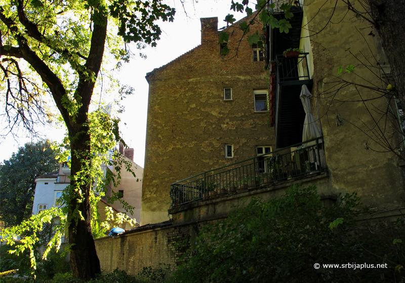 Botanička bašta, Beograd