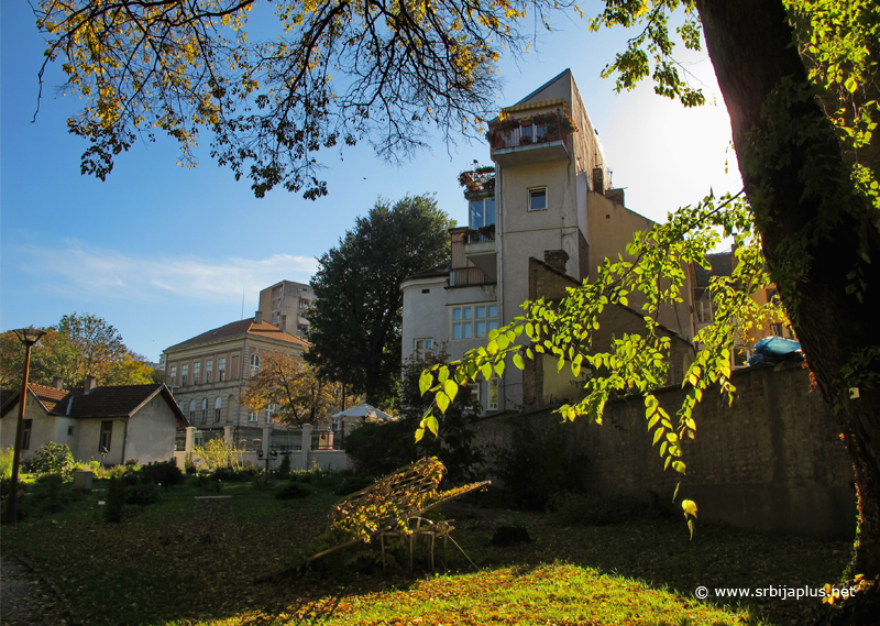 Botanička bašta, Beograd