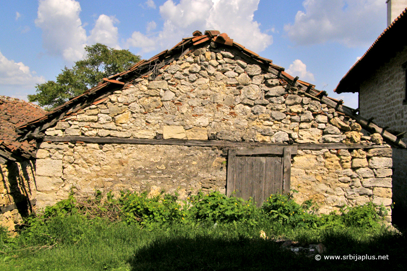 Prizemna rajačka pimnica