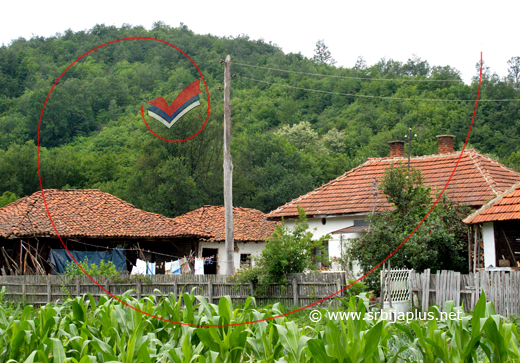 Kukuruz s pogledom na seosko dvorište, Ribare, Žagubica