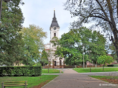 Tomaševac - Gradski park