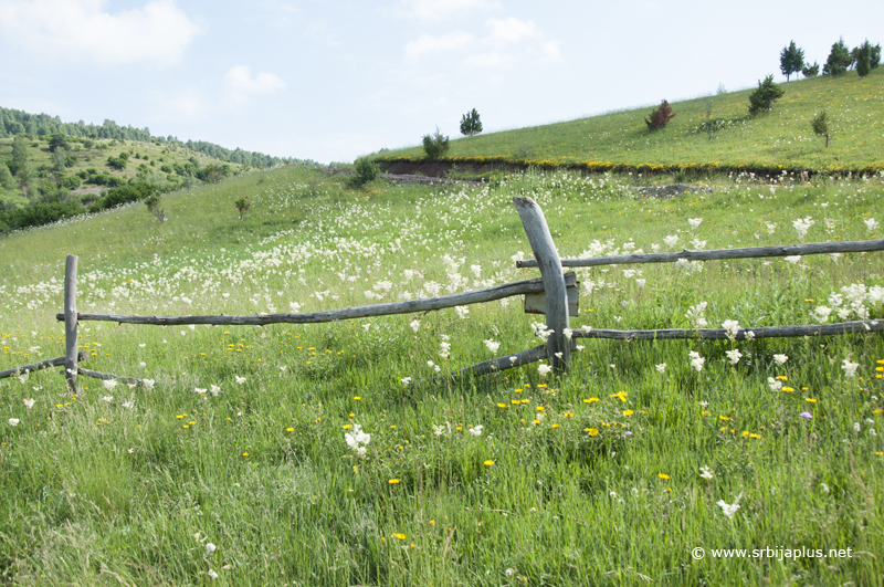 Seoske livade na putu za vidikovac Molitva