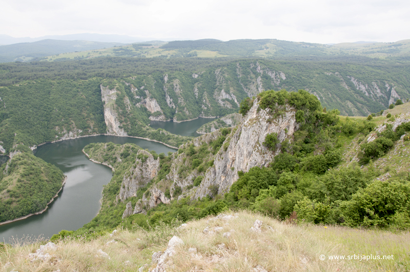 Meandri i litice Uvca, stanište retkih, zaštićenih ptica grabljivica