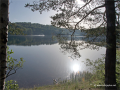 Vlasinsko jezero